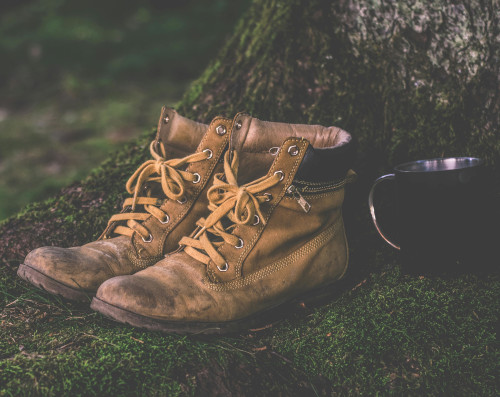 boots: photo of a pair of boots in front of a tree trunk